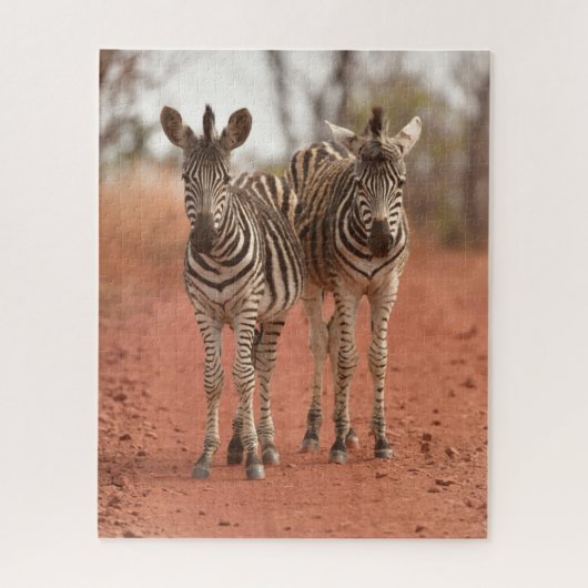 Niedliche Kleintiere | Zwei junge Zebras Puzzle (Vertikal)
