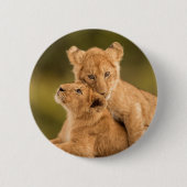Niedliche Kleintiere | Zwei Lion Cubs Button (Vorderseite)