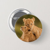 Niedliche Kleintiere | Zwei Lion Cubs Button (Vorne & Hinten)