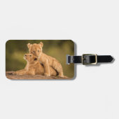 Niedliche Kleintiere | Zwei Lion Cubs Gepäckanhänger (Vorderseite horizontal)