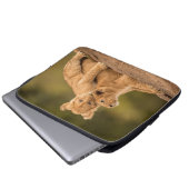 Niedliche Kleintiere | Zwei Lion Cubs Laptopschutzhülle (Vorne Knopf)
