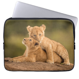 Niedliche Kleintiere   Zwei Lion Cubs Laptopschutzhülle