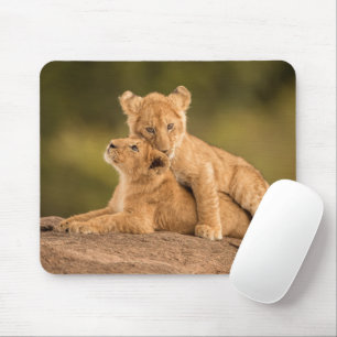 Niedliche Kleintiere   Zwei Lion Cubs Mousepad