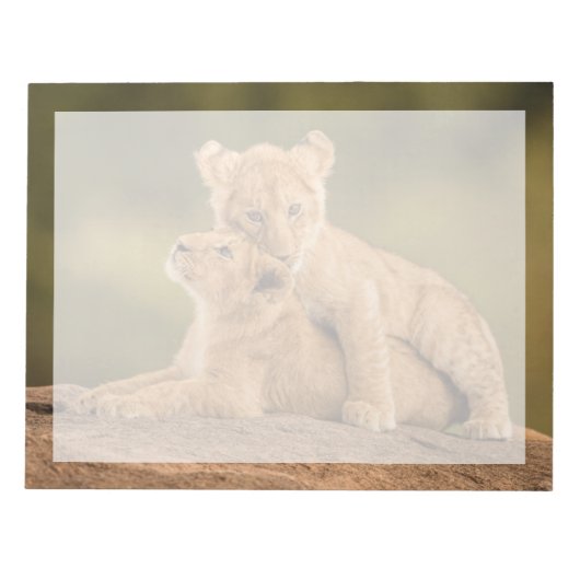Niedliche Kleintiere | Zwei Lion Cubs Notizblock (Vorderseite)