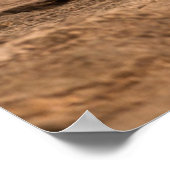 Niedliche Kleintiere | Zwei Lion Cubs Poster (Ecke)