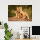 Niedliche Kleintiere | Zwei Lion Cubs Poster (Heimbüro)