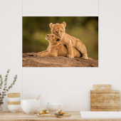 Niedliche Kleintiere | Zwei Lion Cubs Poster (Küche)
