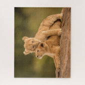 Niedliche Kleintiere | Zwei Lion Cubs Puzzle (Vertikal)
