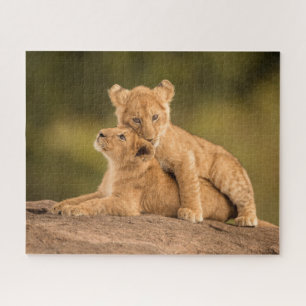 Niedliche Kleintiere   Zwei Lion Cubs Puzzle