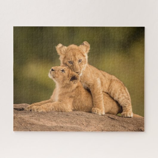 Niedliche Kleintiere | Zwei Lion Cubs Puzzle (Horizontal)