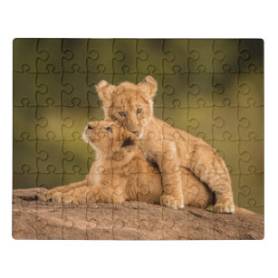 Niedliche Kleintiere   Zwei Lion Cubs Puzzle