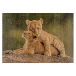 Niedliche Kleintiere   Zwei Lion Cubs Schneidebrett