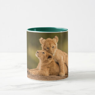 Niedliche Kleintiere   Zwei Lion Cubs Tasse
