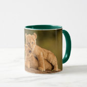 Niedliche Kleintiere | Zwei Lion Cubs Tasse (VorderseiteRechts)
