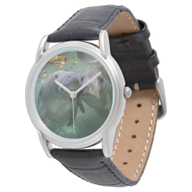 Niedliche Kleintiere | Zwei Manatees Armbanduhr (Schrägansicht)