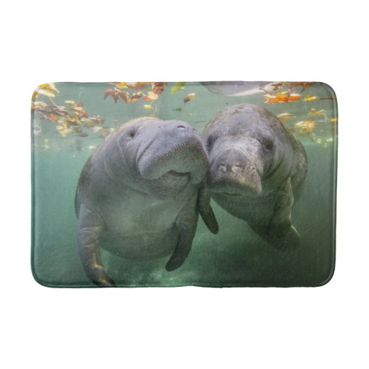 Niedliche Kleintiere | Zwei Manatees Badematte (Vorderseite)