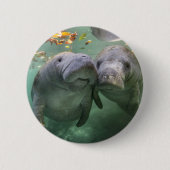 Niedliche Kleintiere | Zwei Manatees Button (Vorderseite)