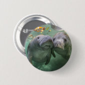 Niedliche Kleintiere | Zwei Manatees Button (Vorne & Hinten)
