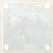 Niedliche Kleintiere | Zwei Manatees Glasuntersetzer (Rückseite)