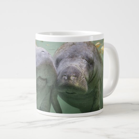Niedliche Kleintiere | Zwei Manatees Jumbo-Tasse (Vorderseite Rechts)
