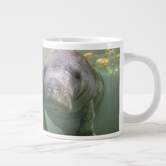 Niedliche Kleintiere | Zwei Manatees Jumbo-Tasse (Rechts)