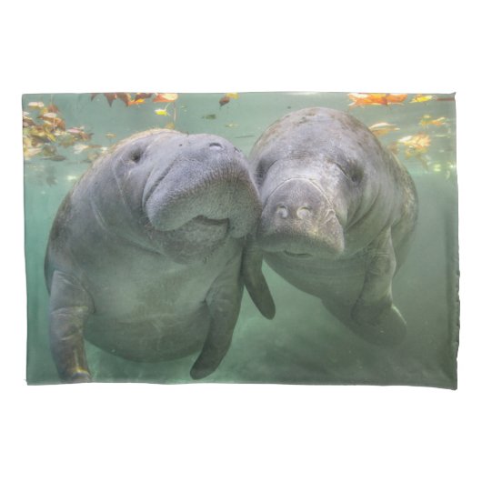 Niedliche Kleintiere | Zwei Manatees Kissenbezug (Vorderseite)