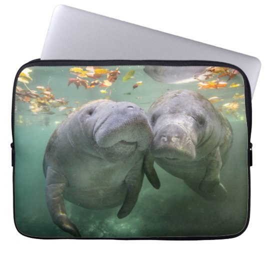 Niedliche Kleintiere | Zwei Manatees Laptopschutzhülle (Vorderseite)