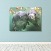 Niedliche Kleintiere | Zwei Manatees Leinwanddruck (Insitu (Holzboden))