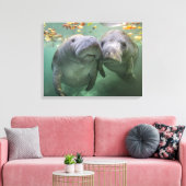 Niedliche Kleintiere | Zwei Manatees Leinwanddruck (Insitu (Wohnzimmer))