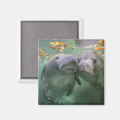 Niedliche Kleintiere | Zwei Manatees Magnet (Vorderseite/Rückseite)