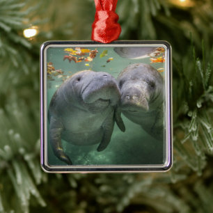 Niedliche Kleintiere Zwei Manatees Ornament Aus Metall