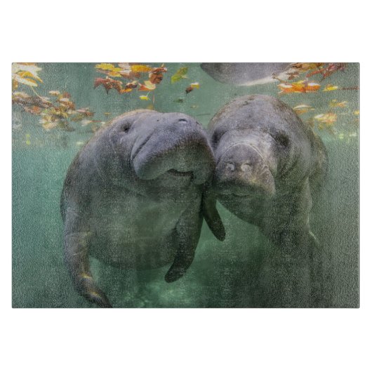 Niedliche Kleintiere | Zwei Manatees Schneidebrett (Vorderseite)