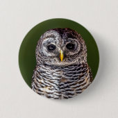 Niedliche Kleintiere | Zwerghuhn Button (Vorderseite)