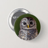 Niedliche Kleintiere | Zwerghuhn Button (Vorne & Hinten)