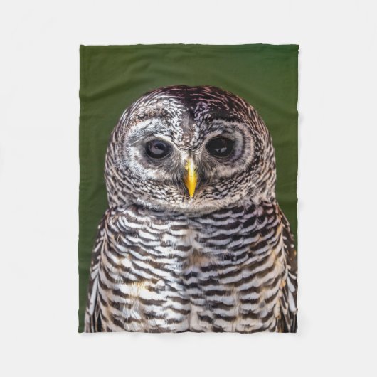 Niedliche Kleintiere | Zwerghuhn Fleecedecke (Vorderseite)