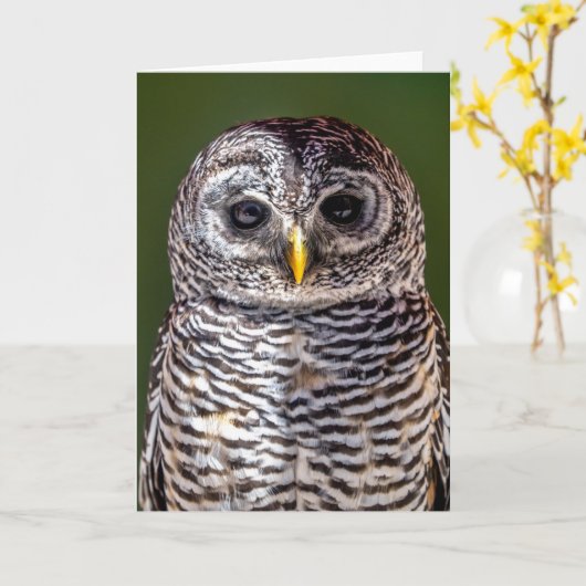 Niedliche Kleintiere | Zwerghuhn Karte (Gelbe Blume)