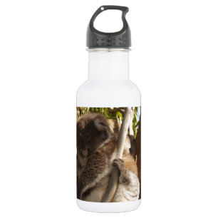 Niedliche Koala-Bären Aussi Outback Edelstahlflasche