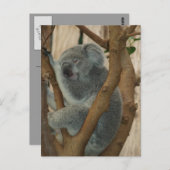 Niedliche Koala Bärenübernachtung Postkarte (Vorne/Hinten)