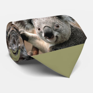 Niedliche Koala-Bärn-Foto-Krawatte (grüner Krawatte
