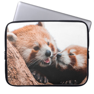 NIEDLICHE KOALA BEAR FAMILIE LAPTOPSCHUTZHÜLLE