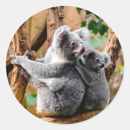 Niedliche Koala Bears Runder Aufkleber (Vorderseite)