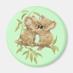 Niedliche Koala Magnet
