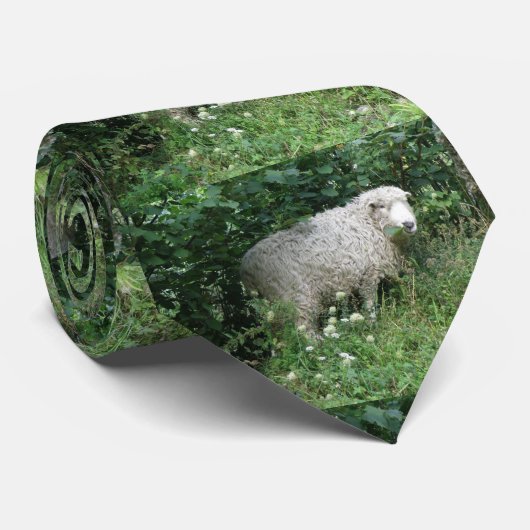 Niedliche Krawatte (Gerollt)