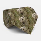 Niedliche Krawatte (Gerollt)