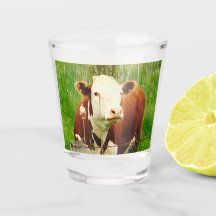 Niedliche Kuh 4 Cent