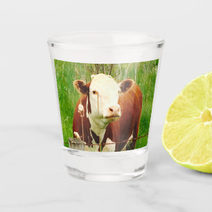 Niedliche Kuh 4 Cent Schnapsglas