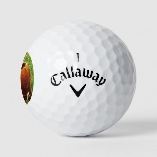 Niedliche Kuh 4Cara Golfball (Logo)