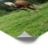 Niedliche Kuh auf der Weide, Fotografie, Spaß Poster (Ecke)