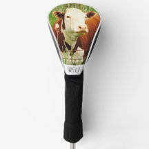 Niedliche Kuh Brown Green