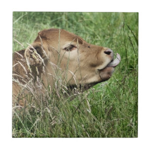 NIEDLICHE KUH FLIESE